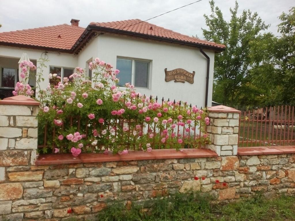 Draganov House Ξενοδοχείο Durankulak Εξωτερικό φωτογραφία